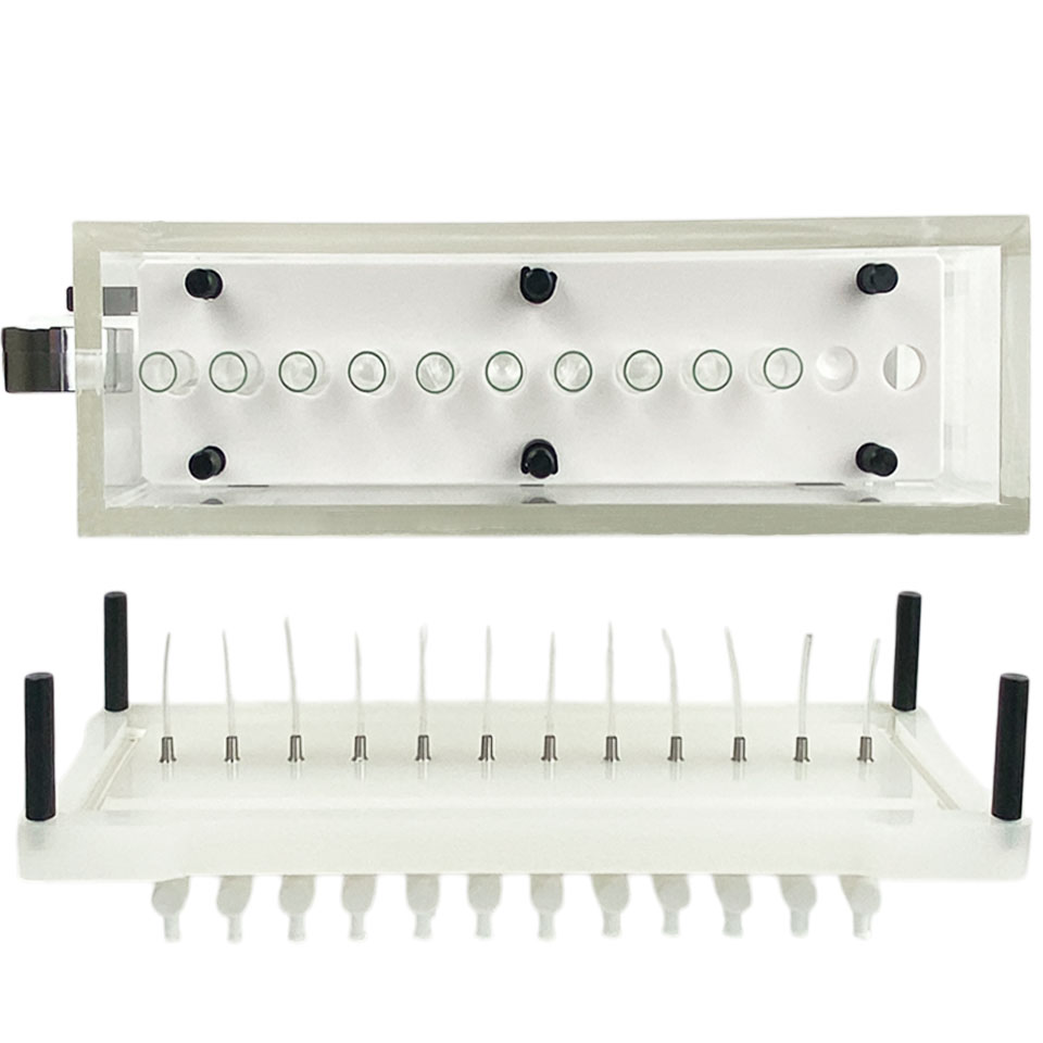 Устройство для твердофазной экстракции Stegler SPX-12